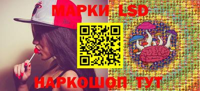индика Кингисепп