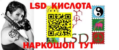 индика Кингисепп