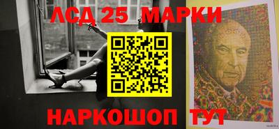 индика Кингисепп