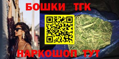 индика Кингисепп