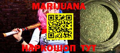 индика Кингисепп
