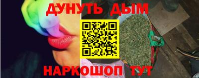 индика Кингисепп