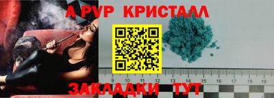 индика Кингисепп