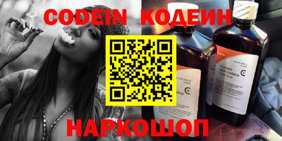 индика Кингисепп