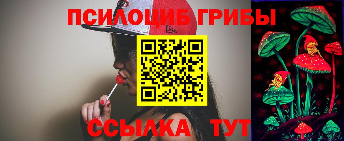 продажа наркотиков  Вход с VPN  Псилоцибиновые грибы MAGIC MUSHROOMS  Крымск  Галлюциногенные грибы GOLDEN TEACHER 